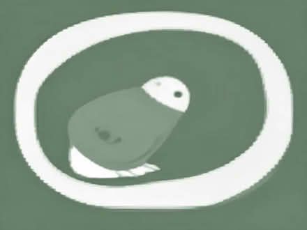 Photo of Strong binoculars needed for bird watching (New Milton BH25) #1