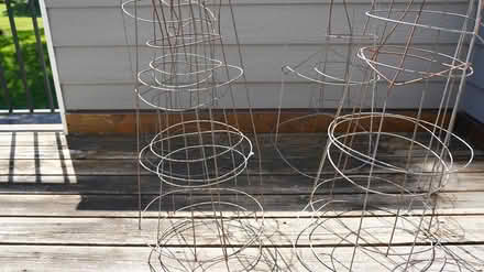 Photo of free tomato cages (140th and Pilot Knob) #1