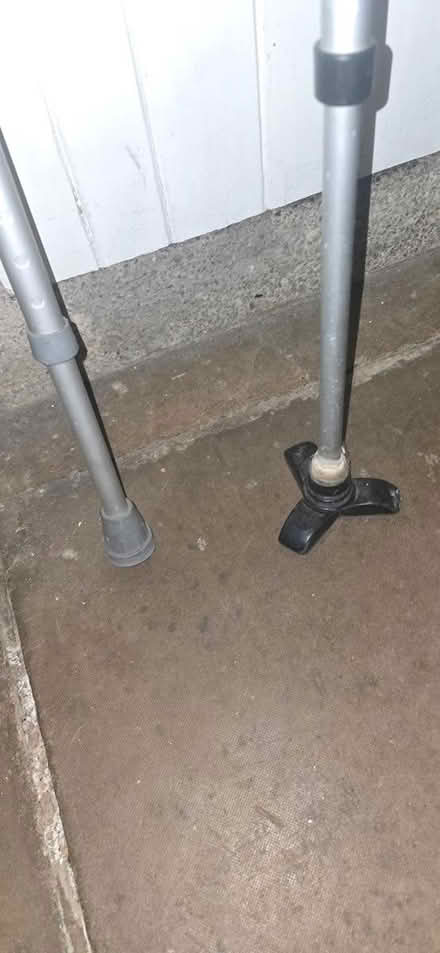 Photo of free Walking sticks (Drybrook GL17) #2