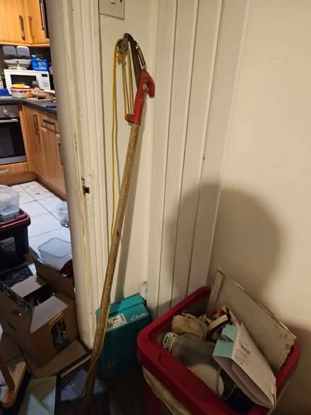 Photo of free Tree Lopper (Loughborough LE11) #1