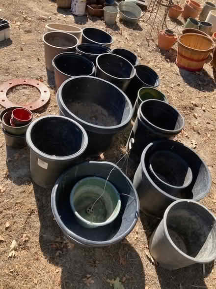Photo of free Pots for Plants (Just outside Graton, Calif) #4