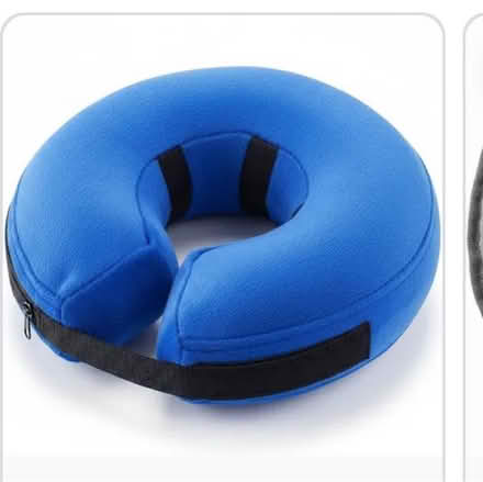 Photo of Lge dog inflatable medical collar (Wickford) #1
