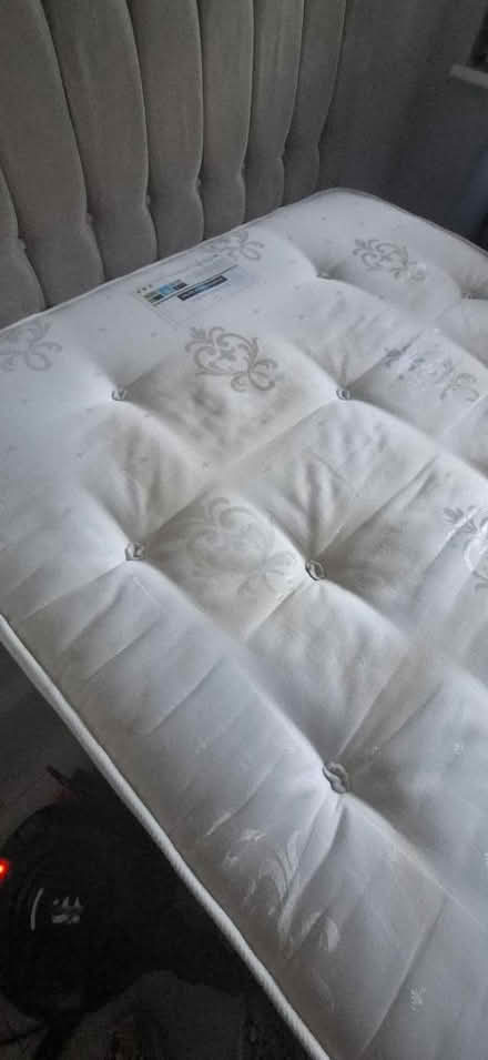 Photo of free King size bed (Croydon CR2) #3
