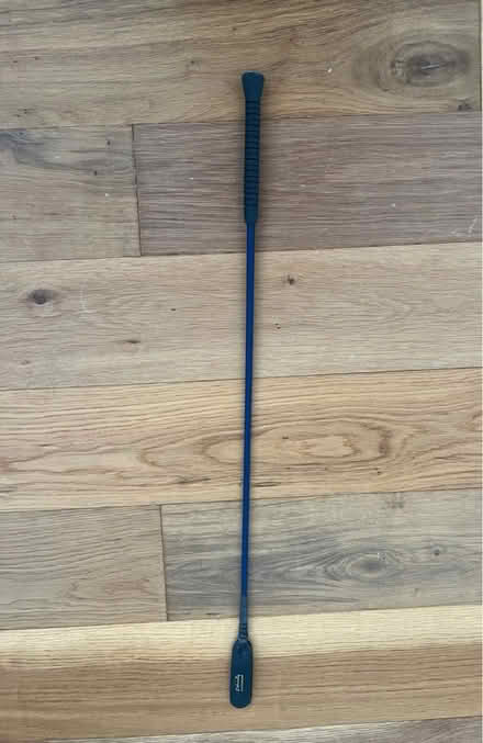 Photo of free Short riding stick (Hove BN3) #1