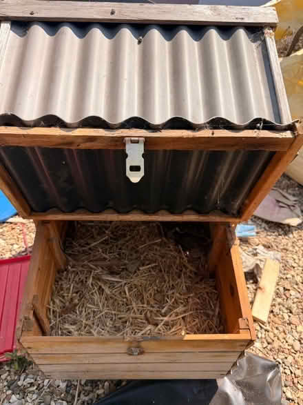 Photo of free Chicken coop (Kingston Bagpuize OX13) #2