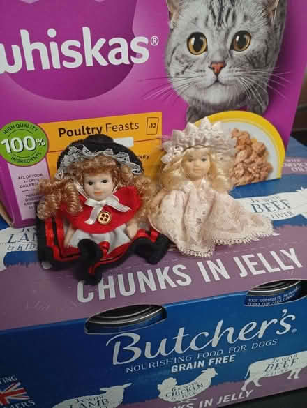 Photo of free Tiny porcelain dolls (Dursley GL11) #1