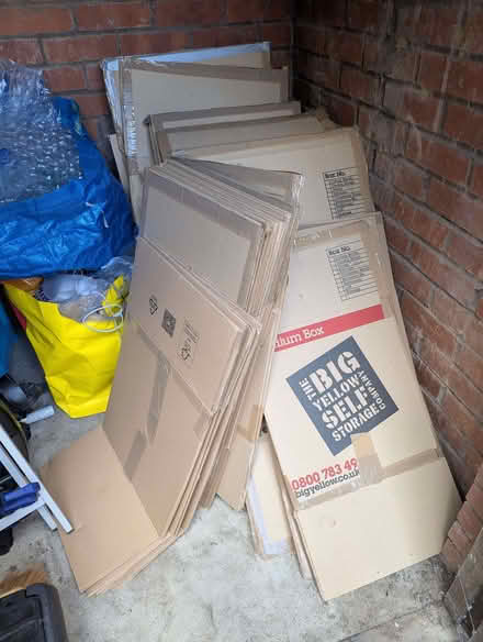 Photo of free Packing / Moving Boxes (Lee SE12) #1