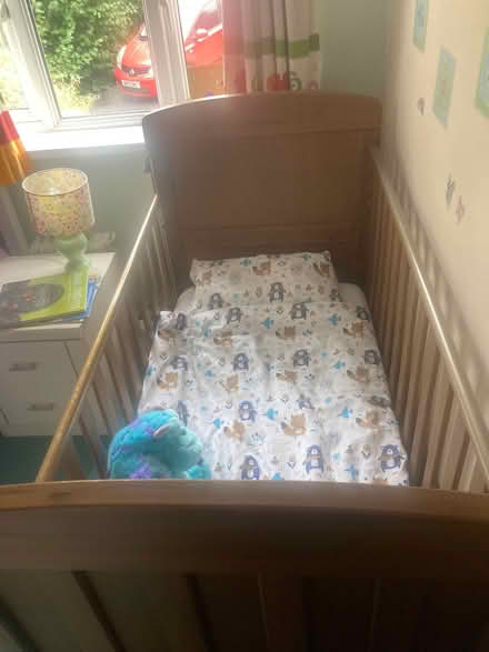 Photo of free Cot bed (Twerton BA1) #1