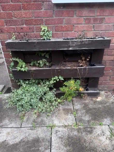 Photo of free Pallet planter (Caerphilly CF83) #1