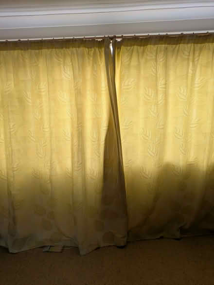 Photo of free Pair of cream curtains with light green leaf pattern (Bishopton Hamlet CV37) #2