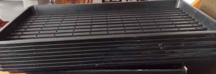 Photo of free Seed trays (Finchley Church End N3) #2
