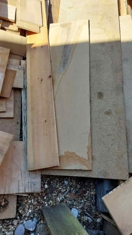 Photo of free Wood (Flitton MK45) #3