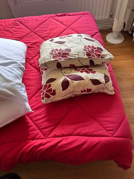 Photo of free Sofa cusions (BR6) #1