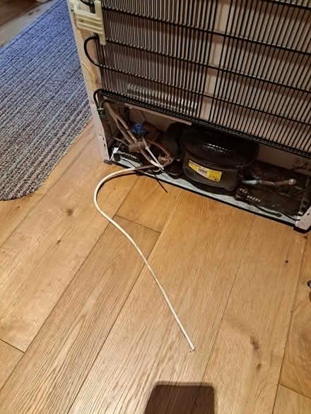 Photo of free Beko fridge. Needs new plug (Coulsdon CR5) #4