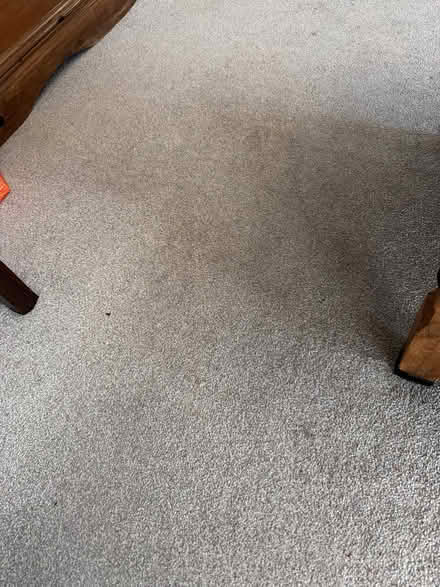 Photo of Flooring (Hastings TN34) #1