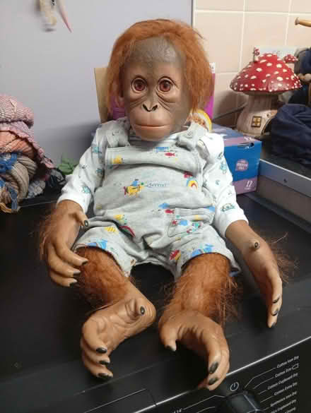 Photo of free Monkey (Dursley GL11) #1