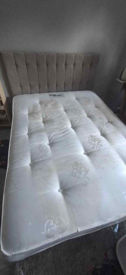 Photo of free King size bed (Croydon CR2) #1