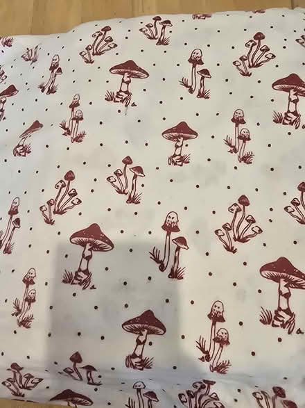 Photo of free Single Duvet set (Portchester PO16) #2
