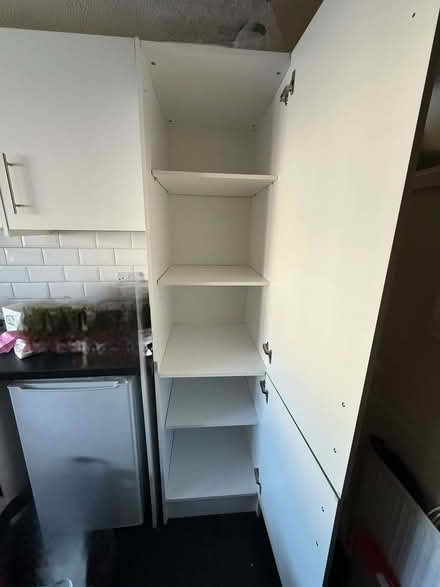 Photo of free Green kitchen larder cabinet (London Colney AL2) #2