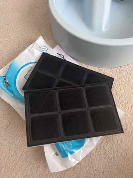 Photo of free Petsafe fountain for cats or small dogs (St. John's Wood NW8) #2