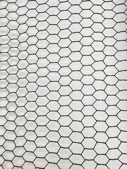 Photo of Chicken Wire Mesh (Addlestone KT15) #1