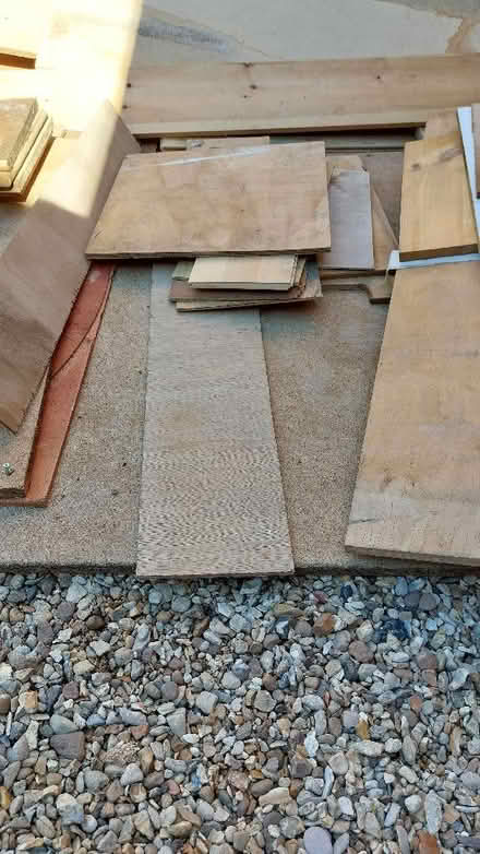 Photo of free Wood (Flitton MK45) #1