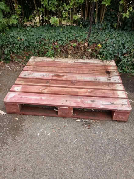 Photo of free Pallet (Presteigne LD8) #1