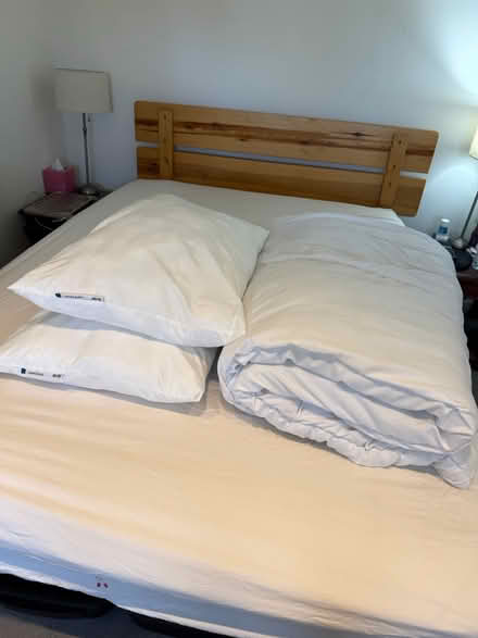 Photo of free 1 Duvet 2 pillows (Hampstead Heath) #1