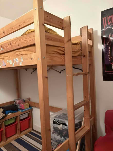 Photo of free Raised Bed Frame (Seven Dials BN1) #2