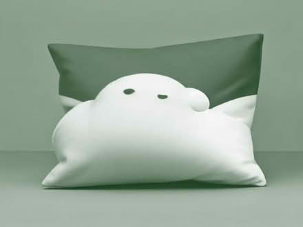 Photo of free 3 Brand new pillows (Cotteridge B30) #1