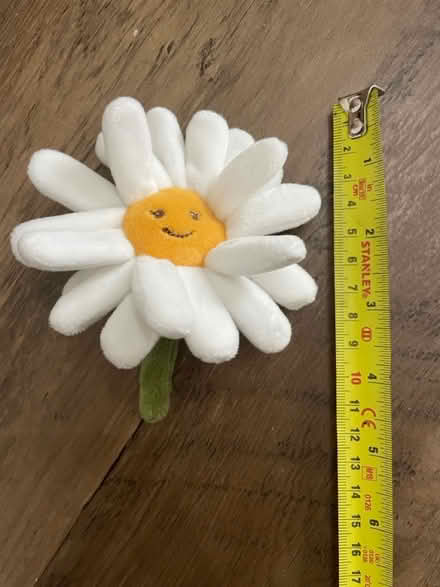 Photo of free Daisy soft toy (SW16) #1