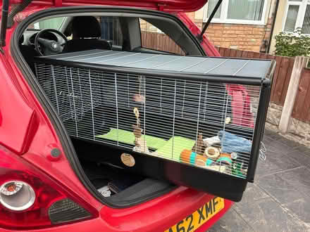 Photo of free Hamster cage (L16 3NB) #1