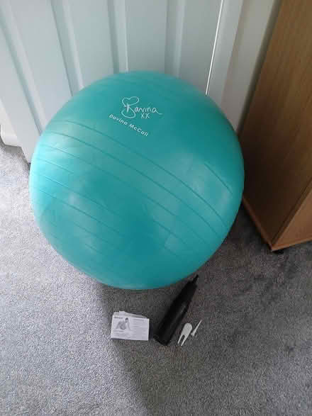 Photo of free Davina McCall exercise ball (Wallisdown BH12) #1