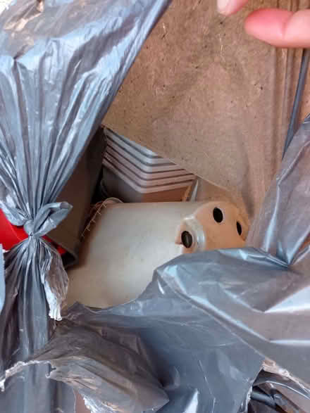 Photo of free Flower pots (New Catton NR3) #2