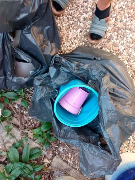 Photo of free Flower pots (New Catton NR3) #1