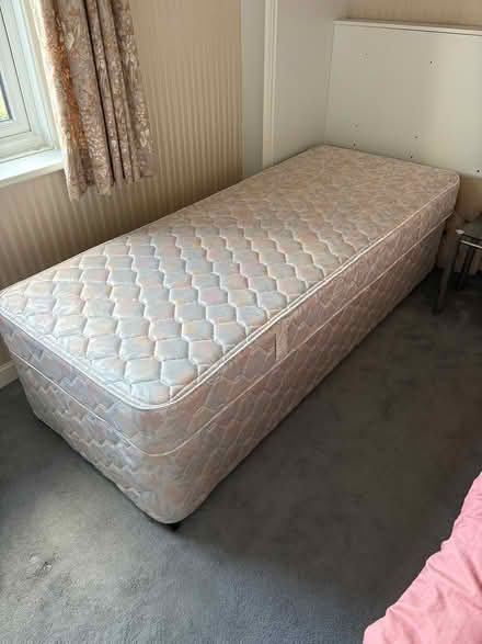 Photo of free Single bed (Ann CT7) #1