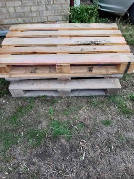 Photo of free Heavy duty pallets (LU3 upper Sundon) #1