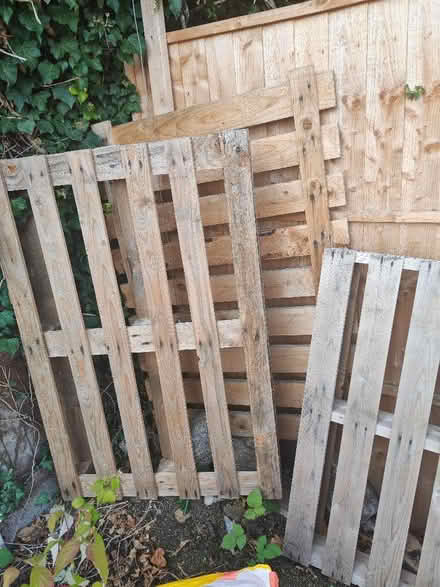 Photo of free Wooden Pallets (Water Eaton MK2) #2