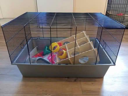 Photo of free Big hamster cage (Kingston Bagpuize OX13) #1