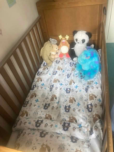Photo of free Cot bed (Twerton BA1) #2