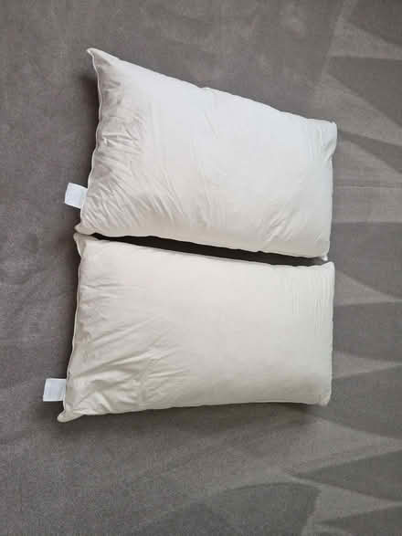 Photo of free SuperKing Feather Pillows (Nazeing CM19) #1