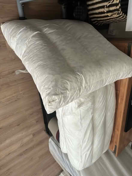 Photo of free Cushion without cover (Dronfield Woodhouse S18) #1