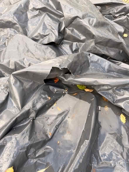 Photo of free Thick plastic sheet/DPM (Kingston Bagpuize OX13) #3