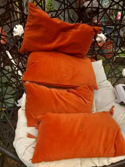 Photo of free Cushions (Slough central SL1) #1