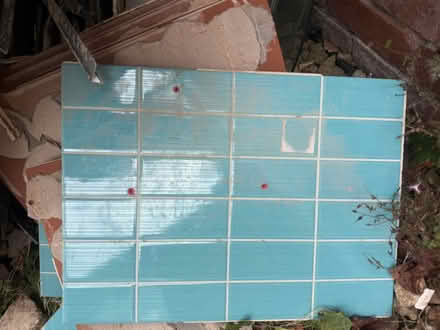 Photo of free Turquoise tiles (NG12 Cropwell Bishop) #2