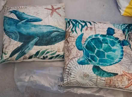 Photo of free 2 Cushions (North Shields NE29) #1