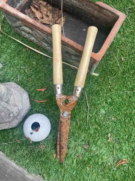 Photo of free Gardening items (Greenwich SE10) #4
