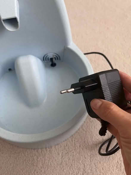 Photo of free Petsafe fountain for cats or small dogs (St. John's Wood NW8) #4