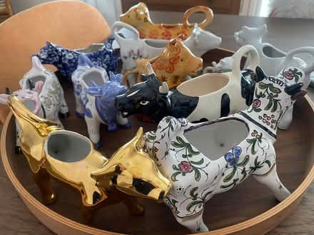 Photo of free so many cows (Pleasant Hill) #1