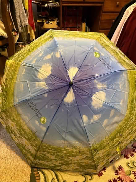 Photo of free Three umbrellas (Fremont) #1